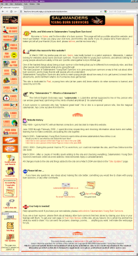 Home page 2010
