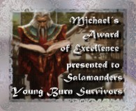 Michael's Award of Excellence - Silver