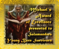 Michael's Award of Excellence - Gold