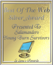 Best Of The Web Silver Award