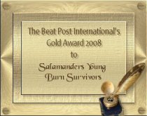 The Beat Post International's Gold Award 2008