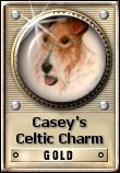 Casey's Celtic Charm - Gold