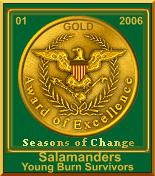 Seasons of Change - Gold