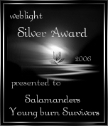 Weblight Silver Award 2006
