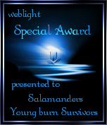 Weblight Special Award