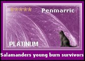 Penmarric Platinum