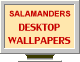 Salamanders Wallpapers